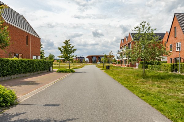 2025-03-06 Het Verlaat 4 -2.jpg